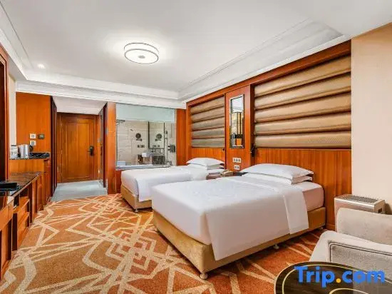 Business Double room (twin beds)