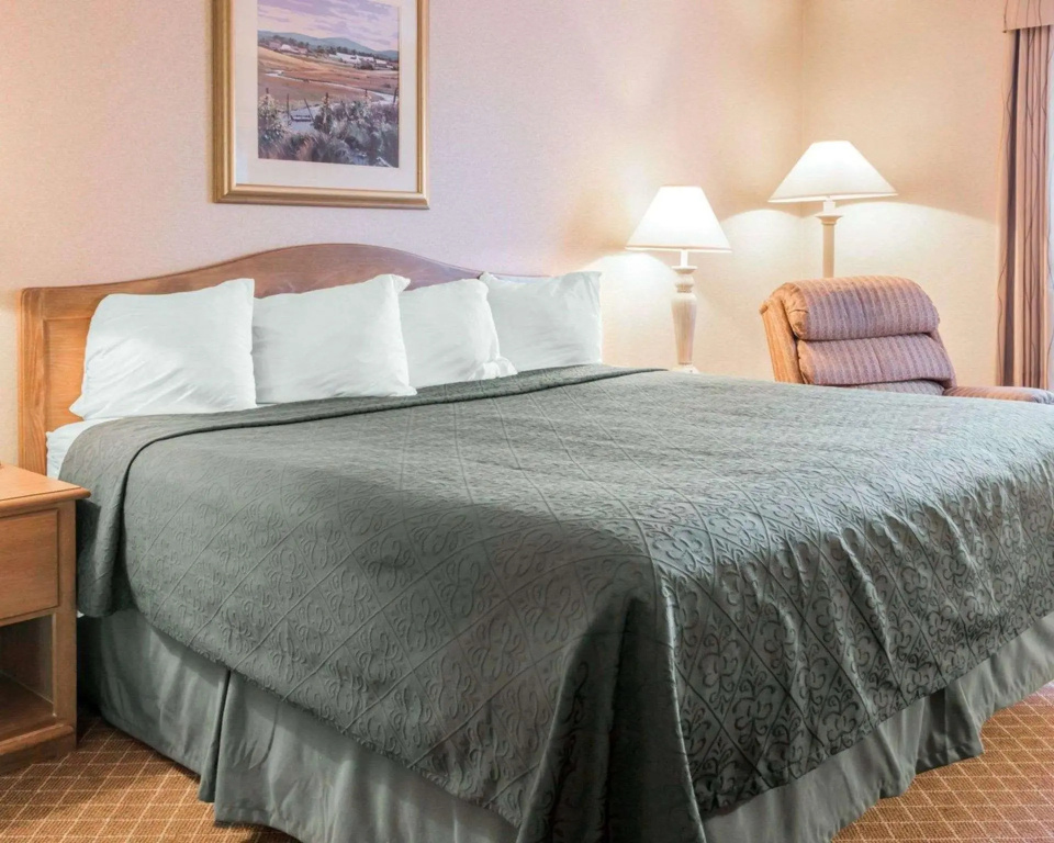 1 Bedroom Suite