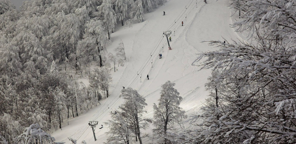 The Green Park Kartepe - Général