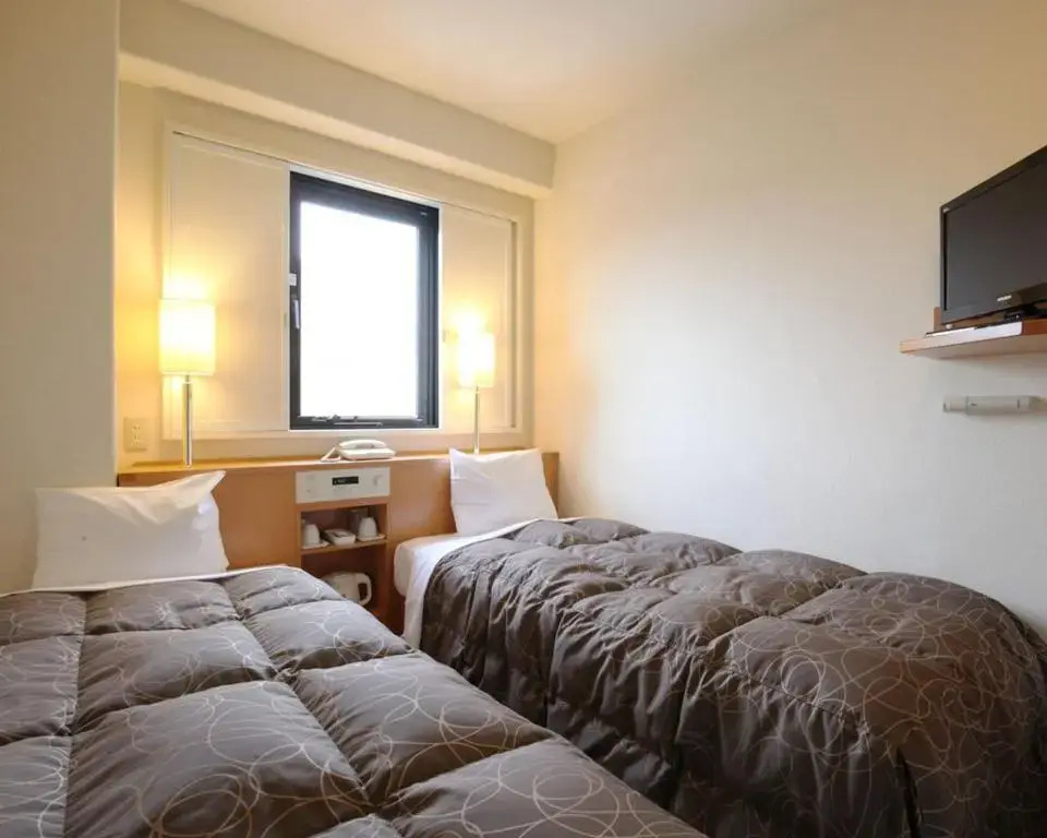 Standard Double room (twin beds)
