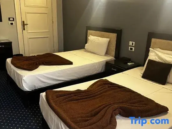 Superior Double room (twin beds)
