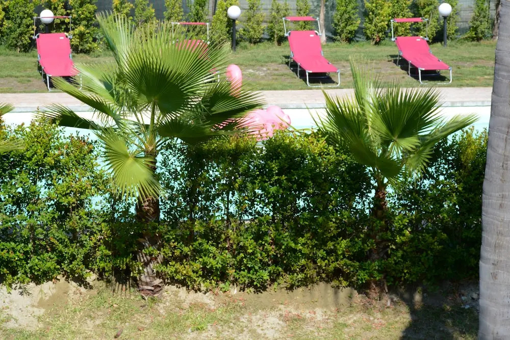 尊爵四人房，配有兩張大床