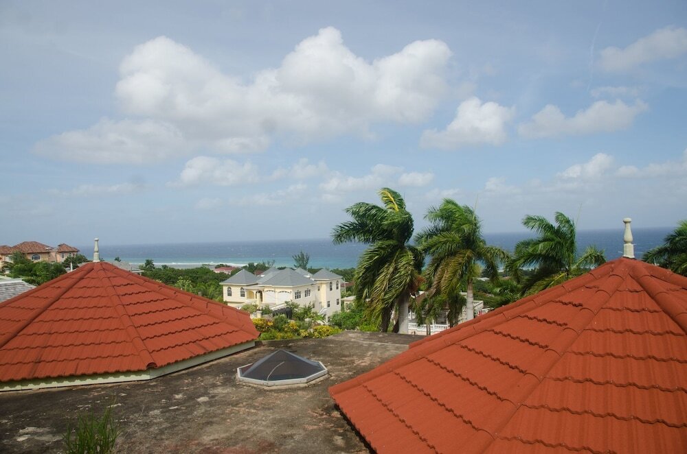 Image 14