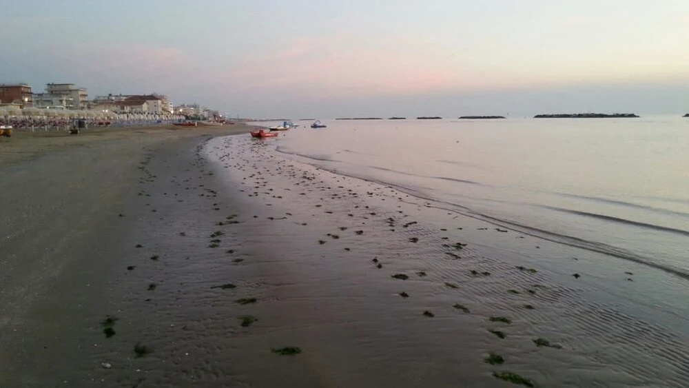Beach & Waterfront