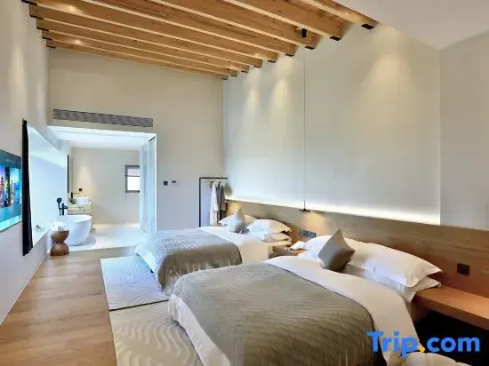 Standard Double Family room (twin beds)