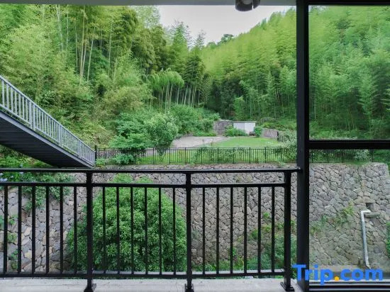 Balcony & Terrace