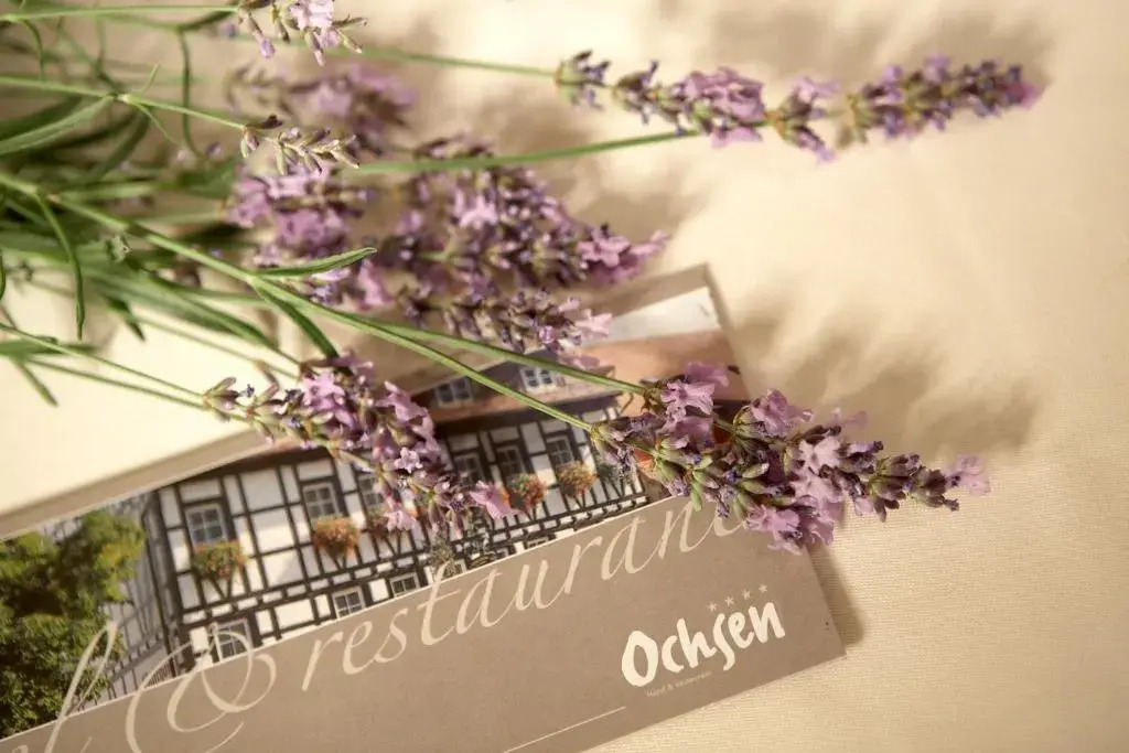 Hotel Ochsen by null