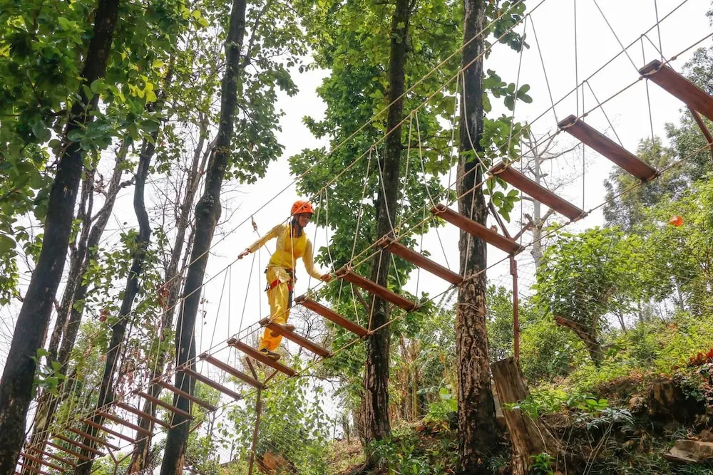 The Sal Woods Forest and Spa - Général