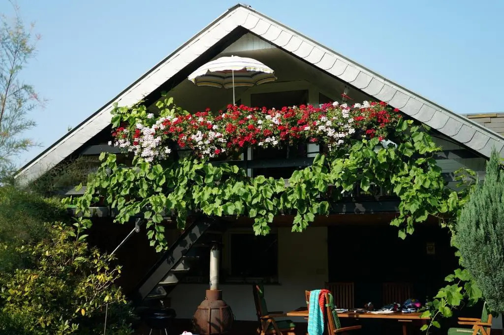 設有露台的公寓