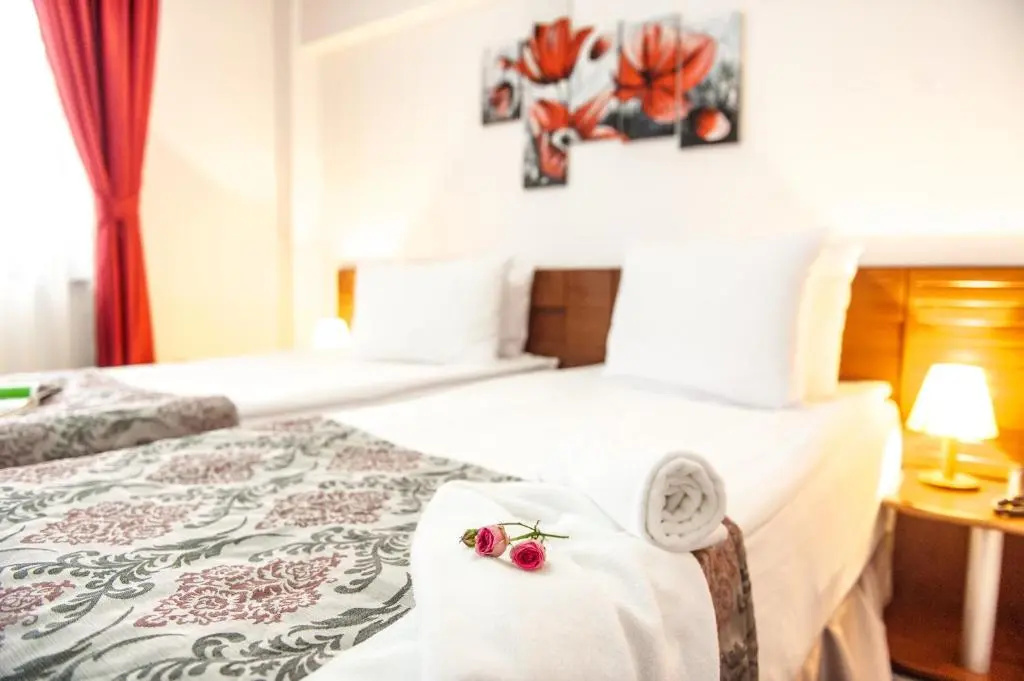 Standard Double room (twin beds)