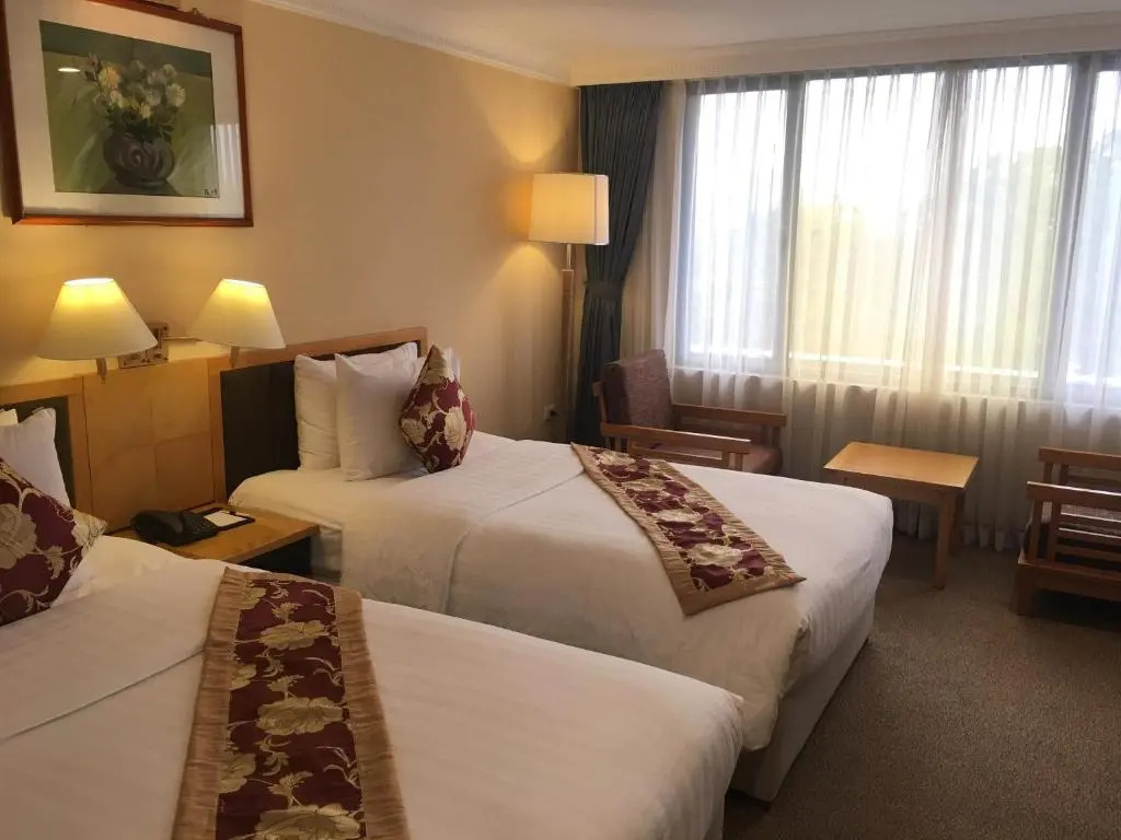 Deluxe room with city view