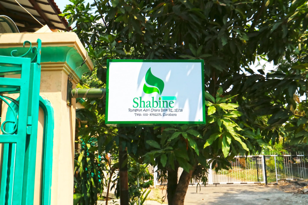 Hotel Shabine