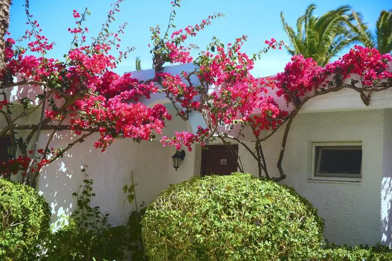 Blue Horizon Hotel - Chambres