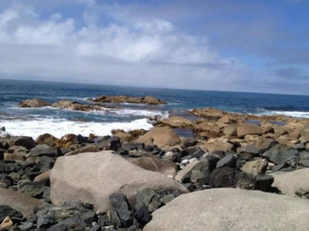 King Island Scenic Retreat - Général