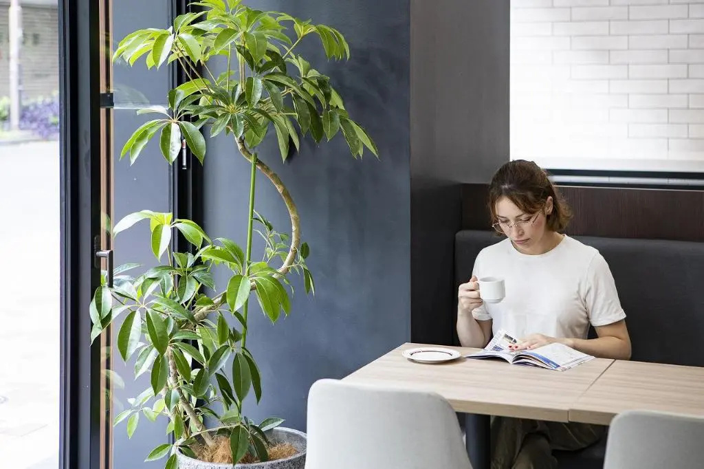 Grids Tokyo Ueno Hotel&hostel 사진 17