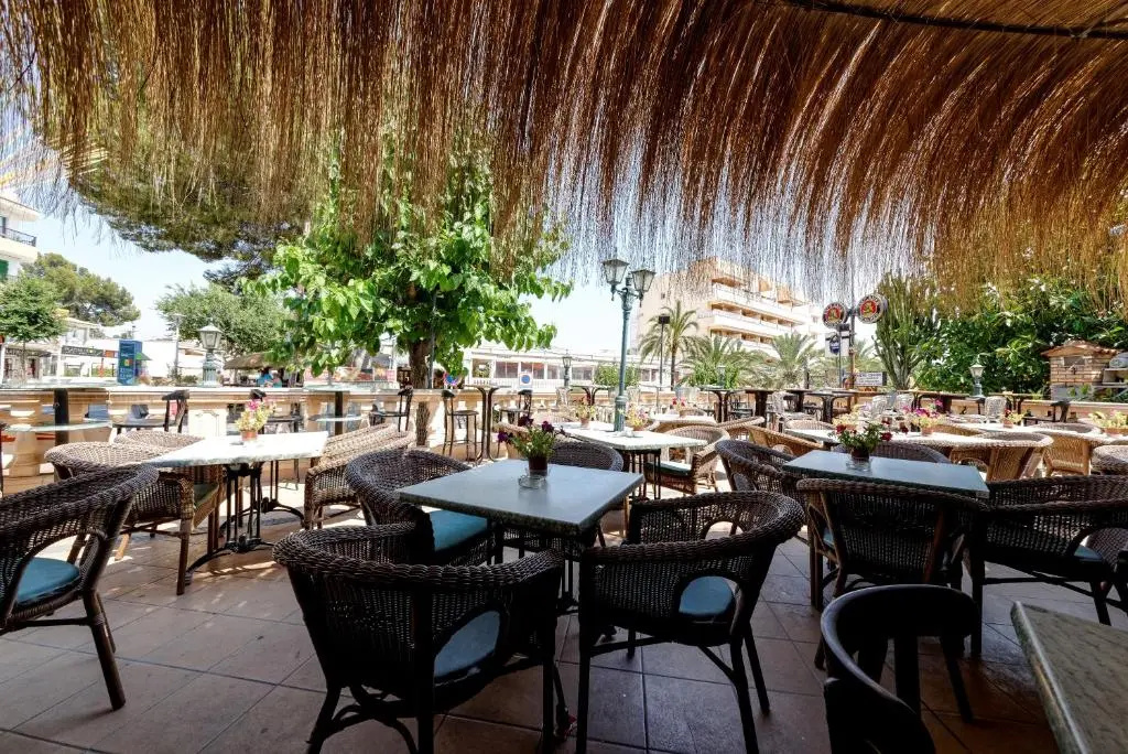 Hotel Playas de Paguera - Général
