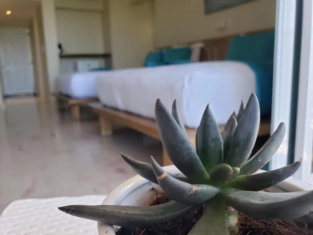 Paradise Island Beach Resort - Chambres