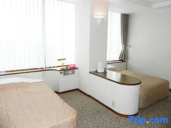 Standard Double room (twin beds)