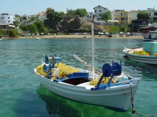 Beach & Waterfront