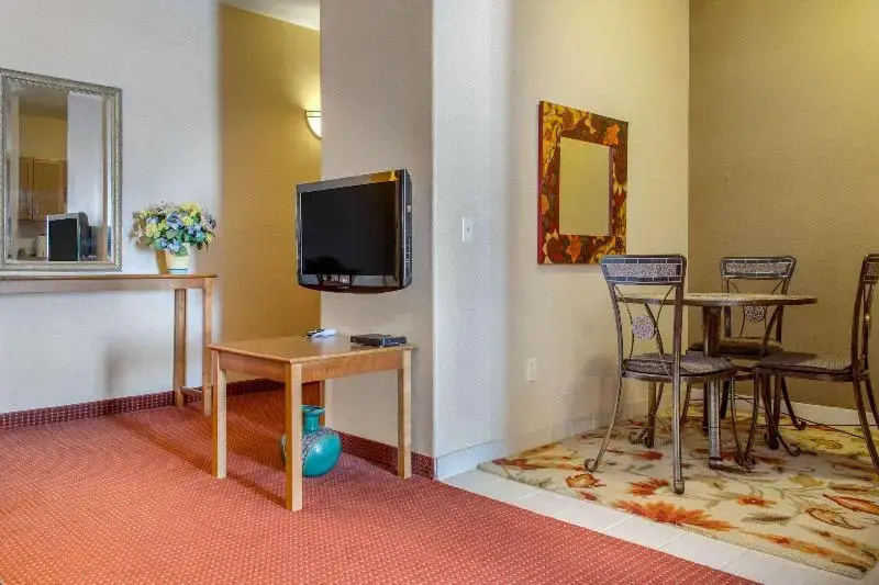 Comfort Inn & Suites I-25 Near Spaceport America - Général