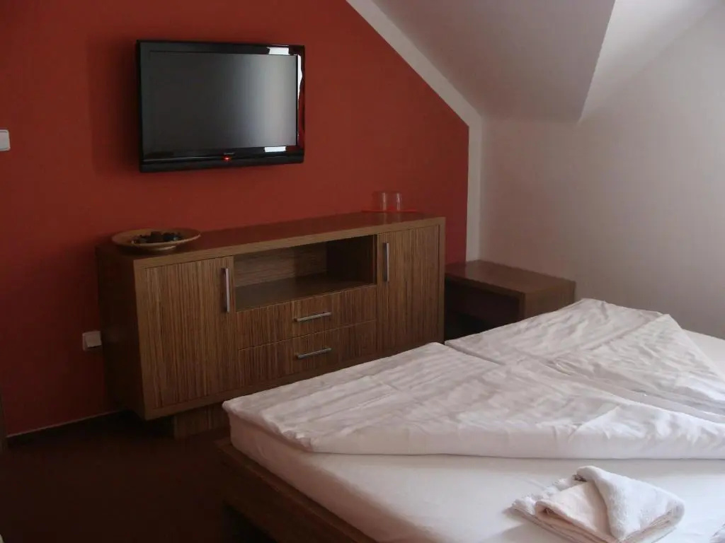 Wellness Hotel Hukvaldy - Chambres