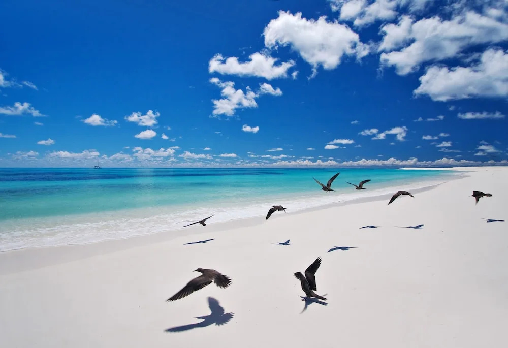 Bird Island Lodge Seychelles — фото 6