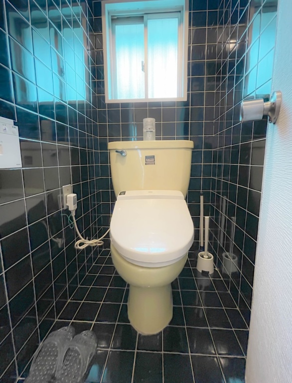 Namba Ebisu Hotel 사진 15