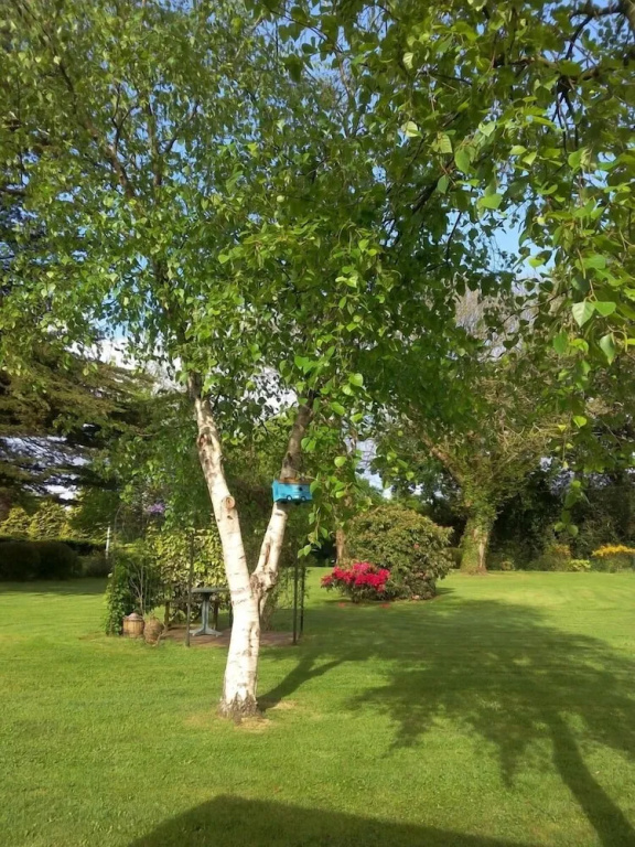 Voir la photo 5 — La Clé des Roulottes