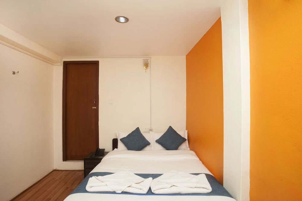 Deluxe Single room with garden view