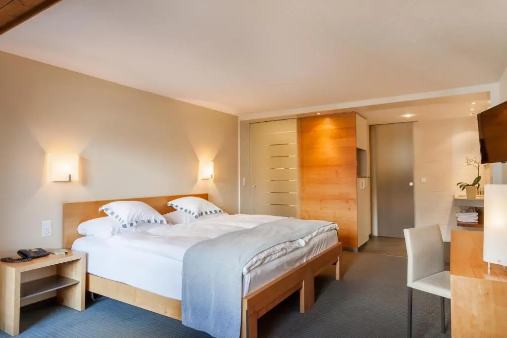 Superior Double room (full double bed)