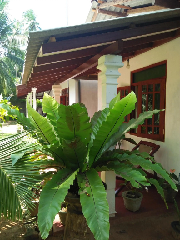 Coco Cabana Hikkaduwa