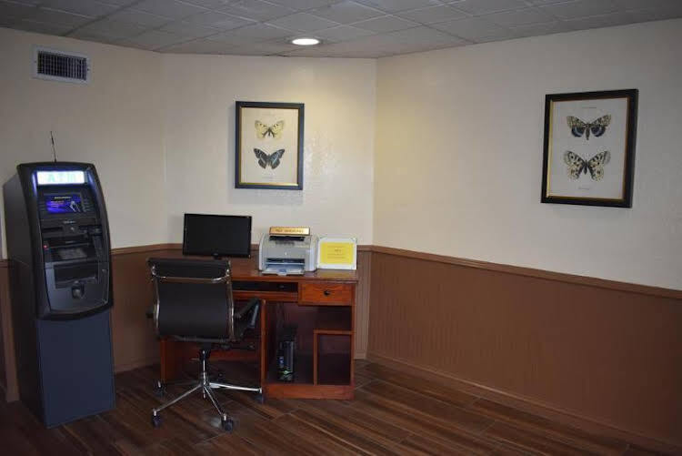 Image 5