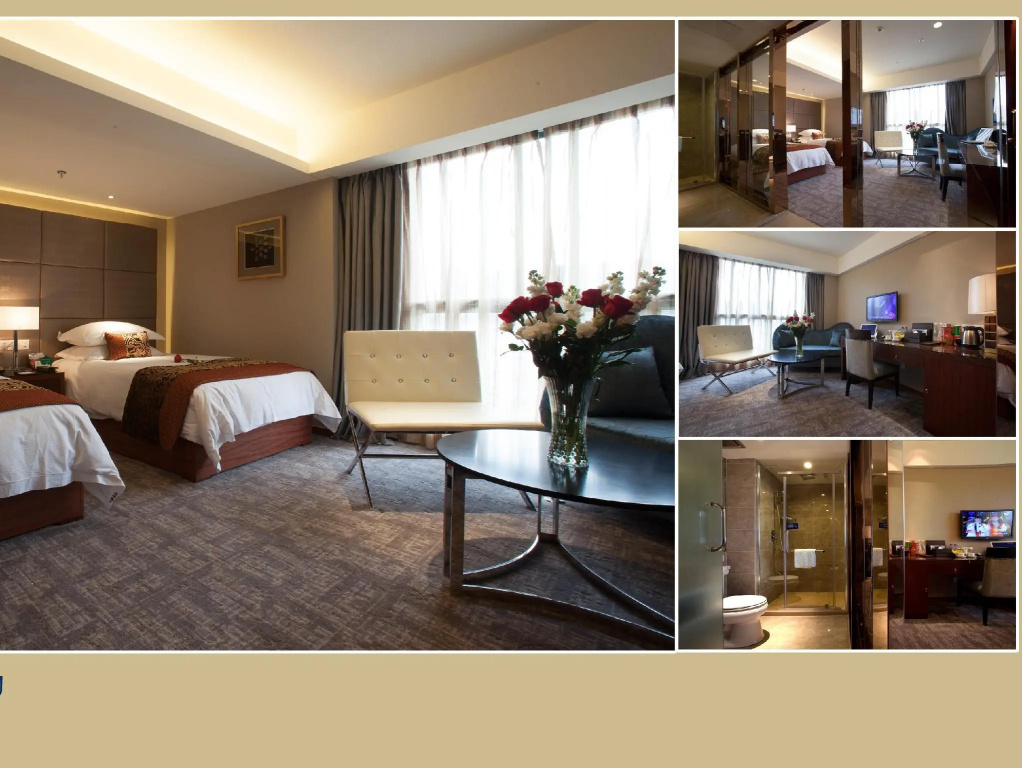 Executive Double room (twin beds)