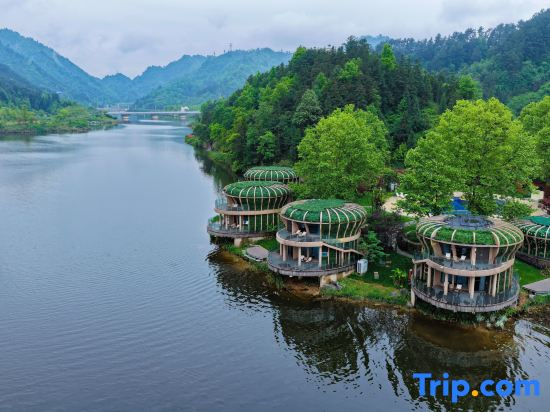 Zai Shengnian · Zhizhou Homestay