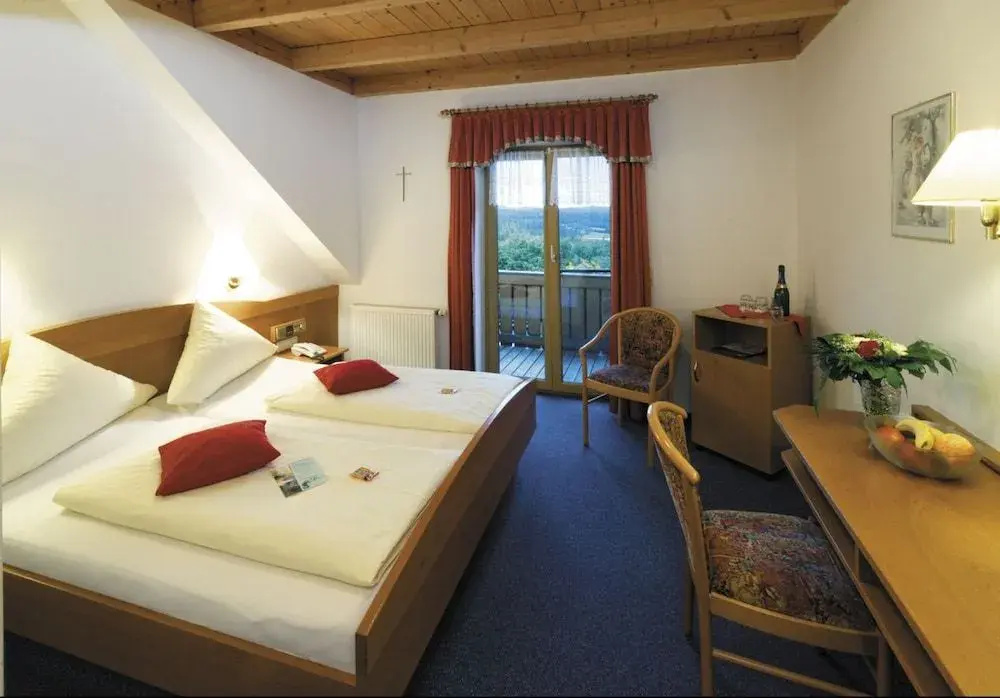 Panorama-Hotel Am See - Général
