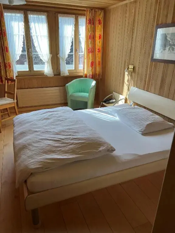 Standard Double room (full double bed)