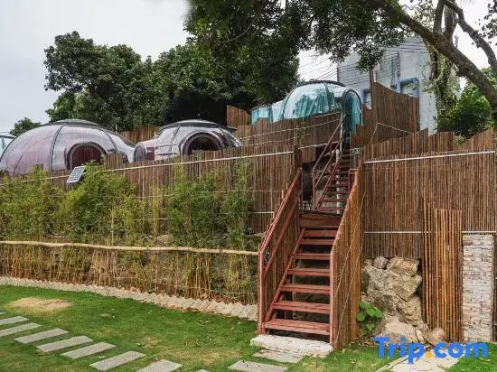 Guangzhou Conghua Qingfeng Xiaozhu Starry Sky Homestay