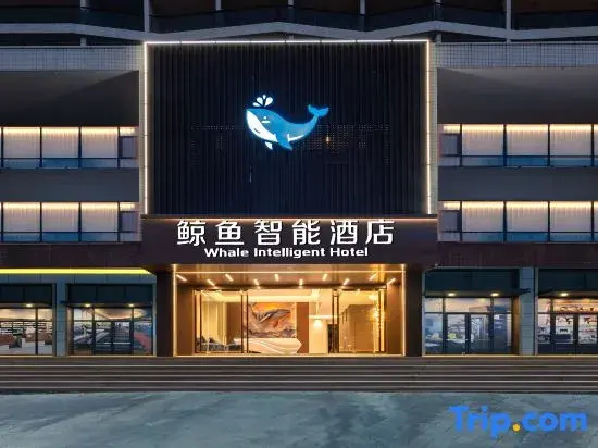 Hailingshan Whale Smart Hotel