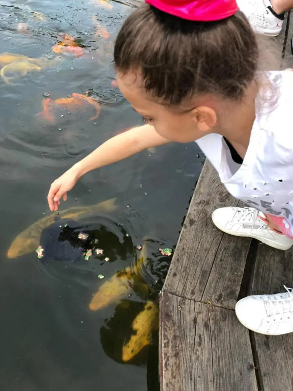 István Hotel&Étterem - фото 25