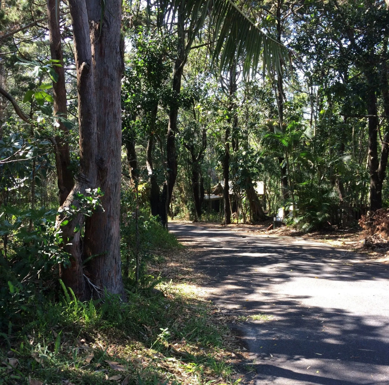 Byron Bay Rainforest Resort