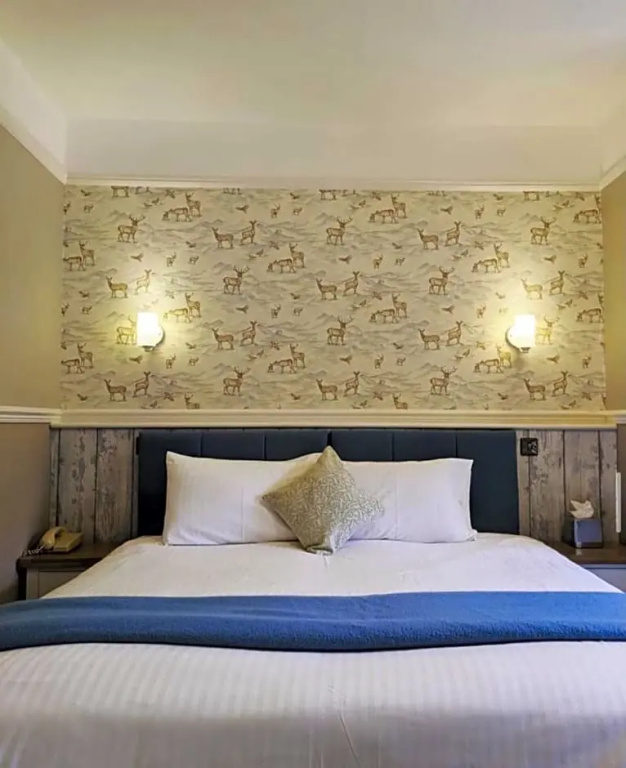 Ormonde House Hotel - Chambres