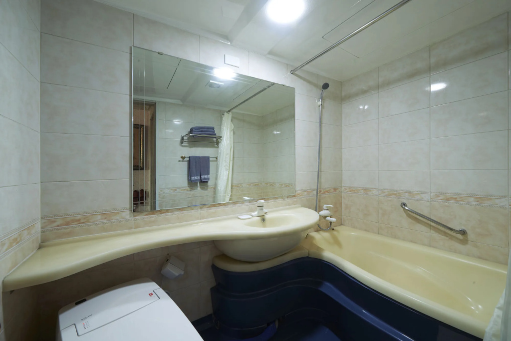 Benikea Premier Hotel Siheung - Général