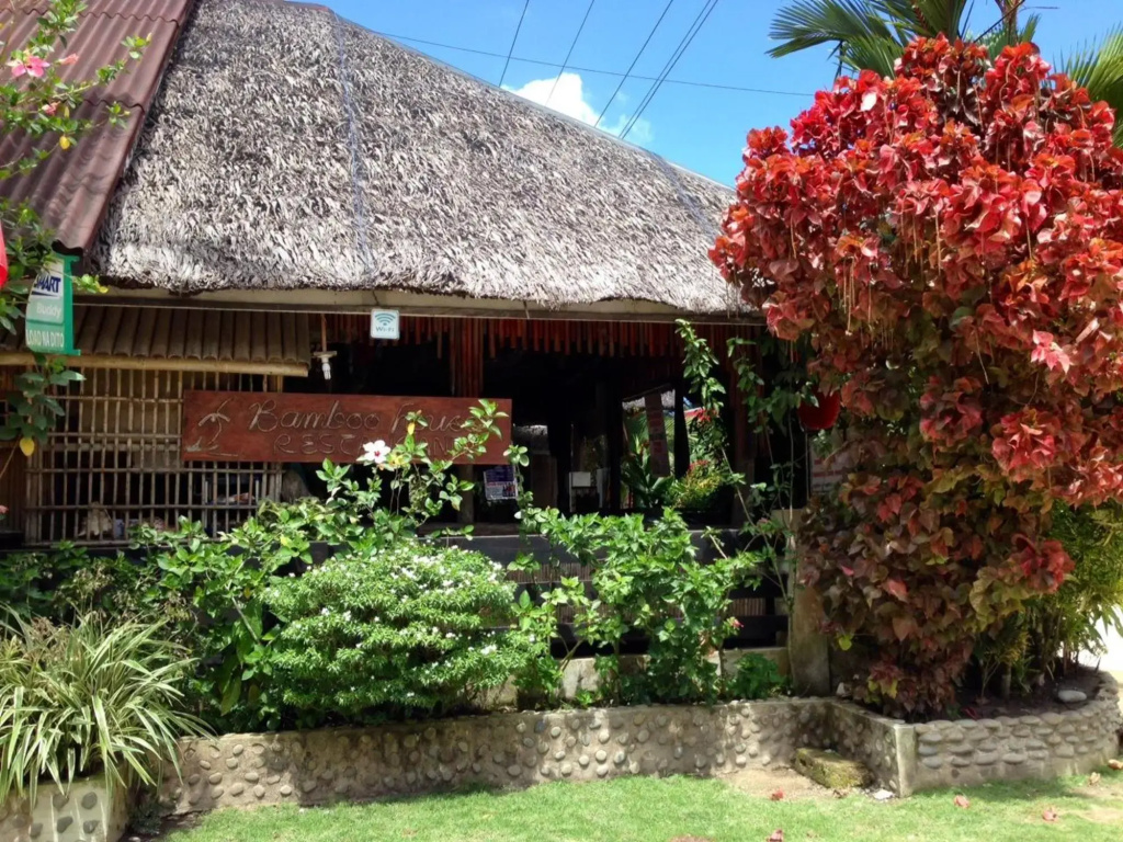 Ayette's Bamboo House Restaurant and Cottages
