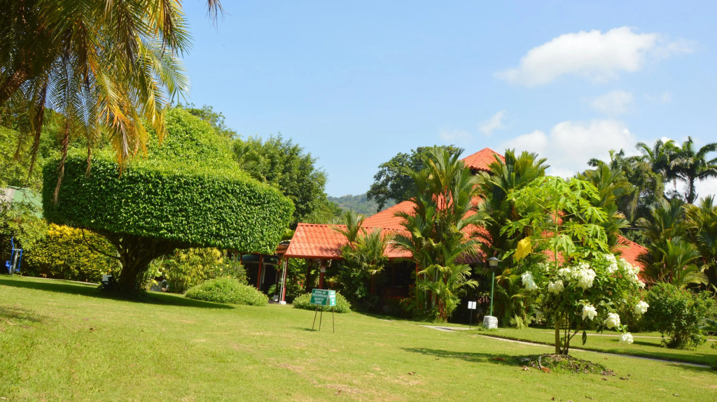 Hotel photo 17