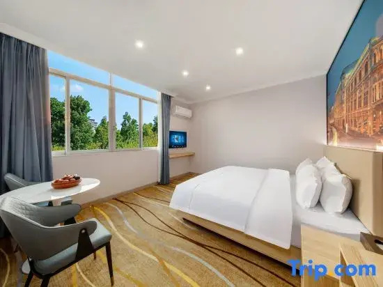 Standard Double room with city view (full double bed)