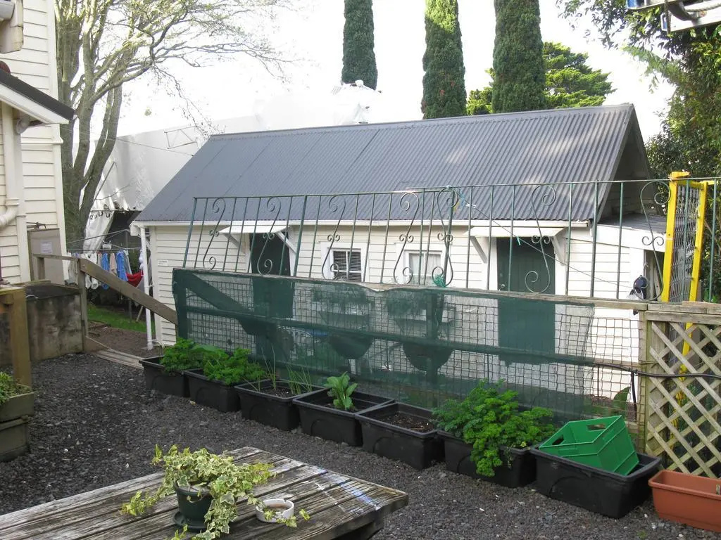 City Garden Lodge Backpackers