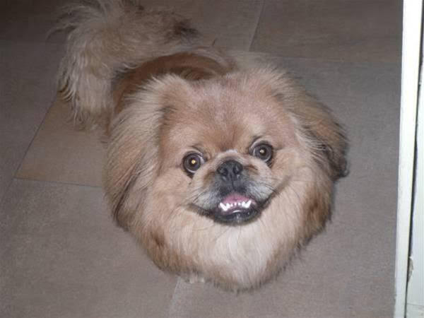 gallery_image_hidden_29