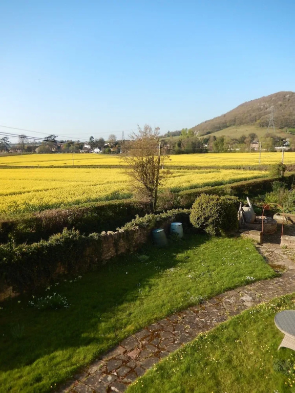 Standard Double room with view (full double bed)