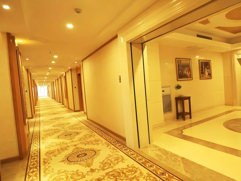 Vienna Hotel Shenzhen View Lake Park - Général