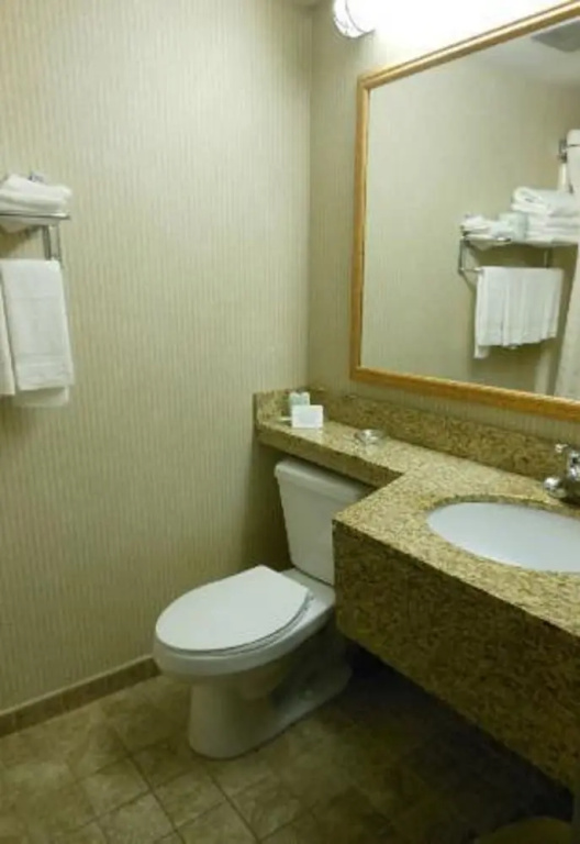 Rodeway Inn - фото 7